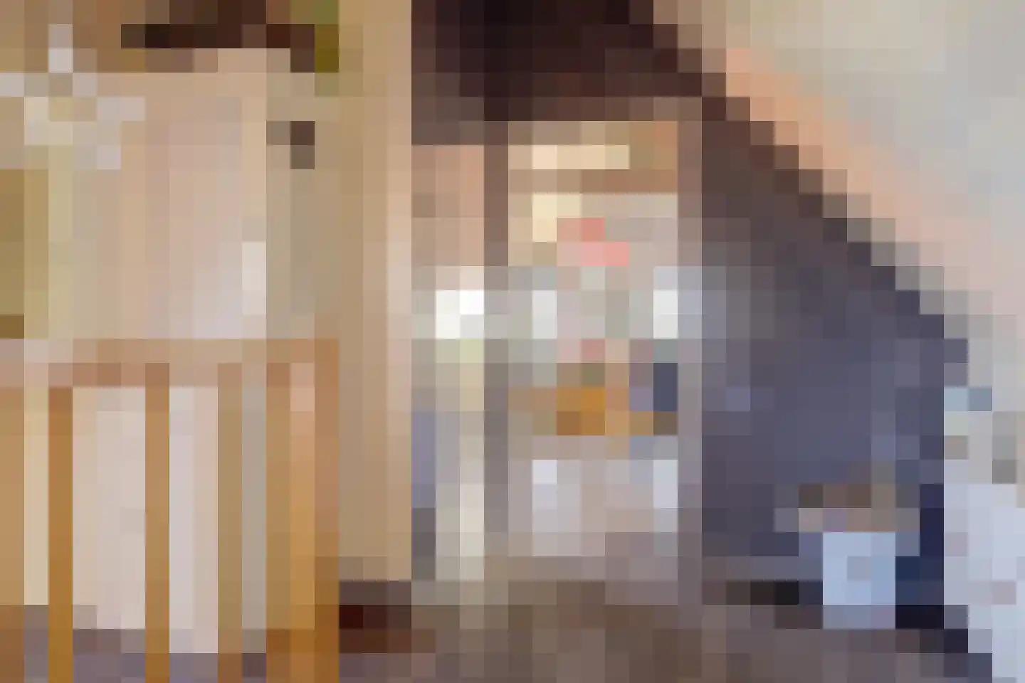 Westfriesedijk 27 Warmenhuizen thumbnail 38