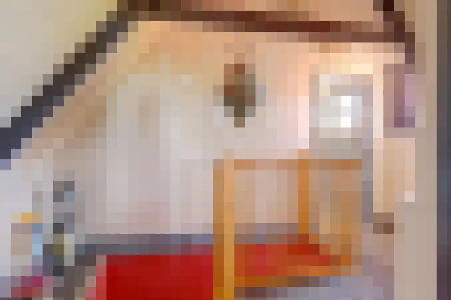 Westfriesedijk 27 Warmenhuizen thumbnail 39