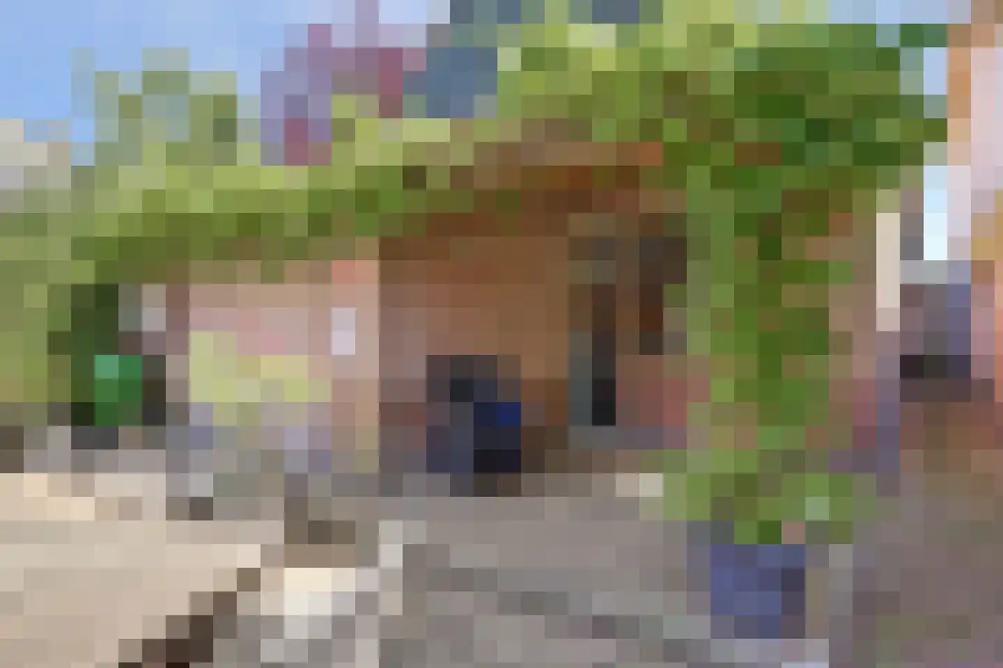 Westfriesedijk 27 Warmenhuizen thumbnail 44