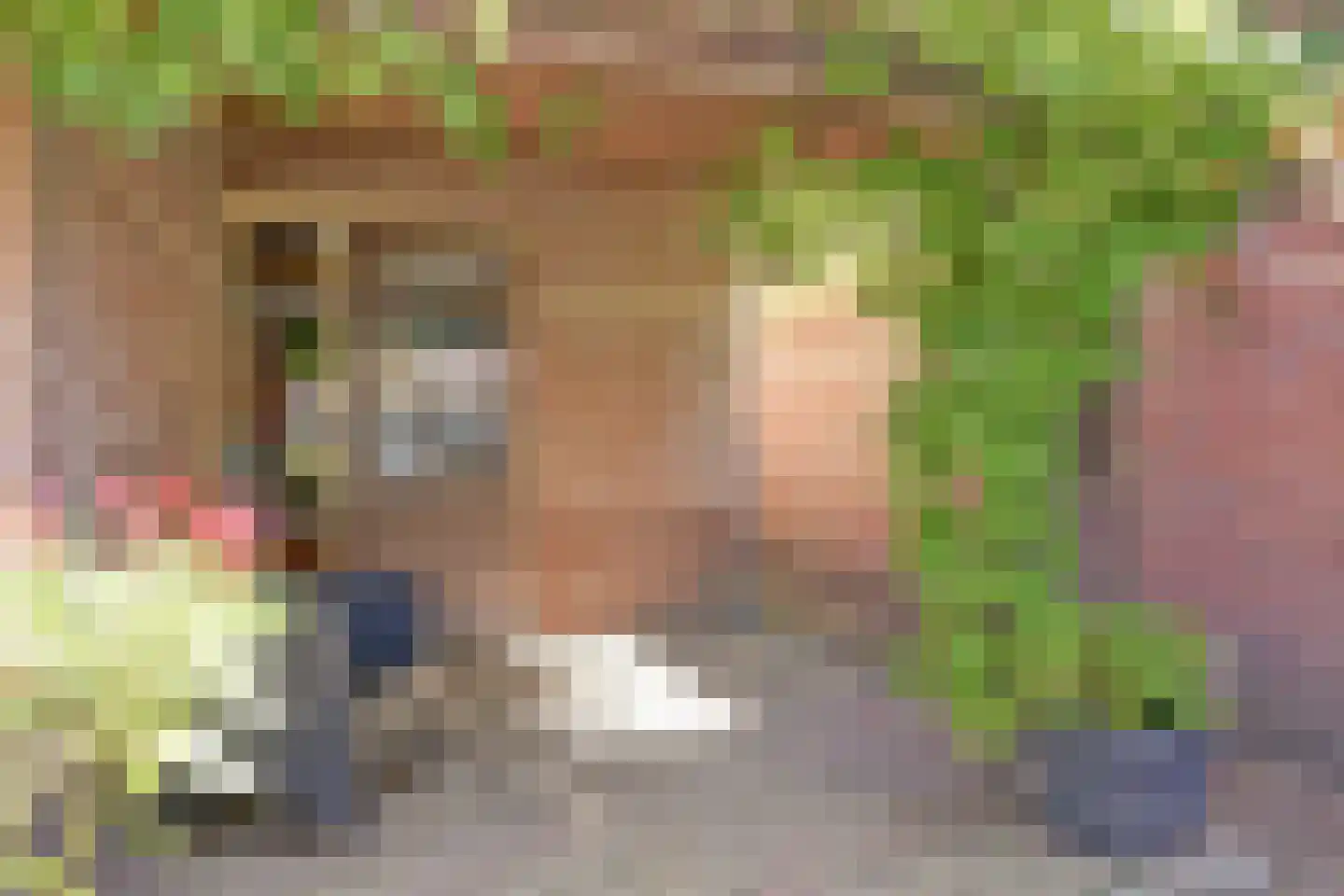 Westfriesedijk 27 Warmenhuizen thumbnail 45