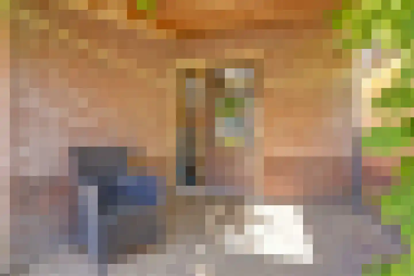 Westfriesedijk 27 Warmenhuizen thumbnail 47