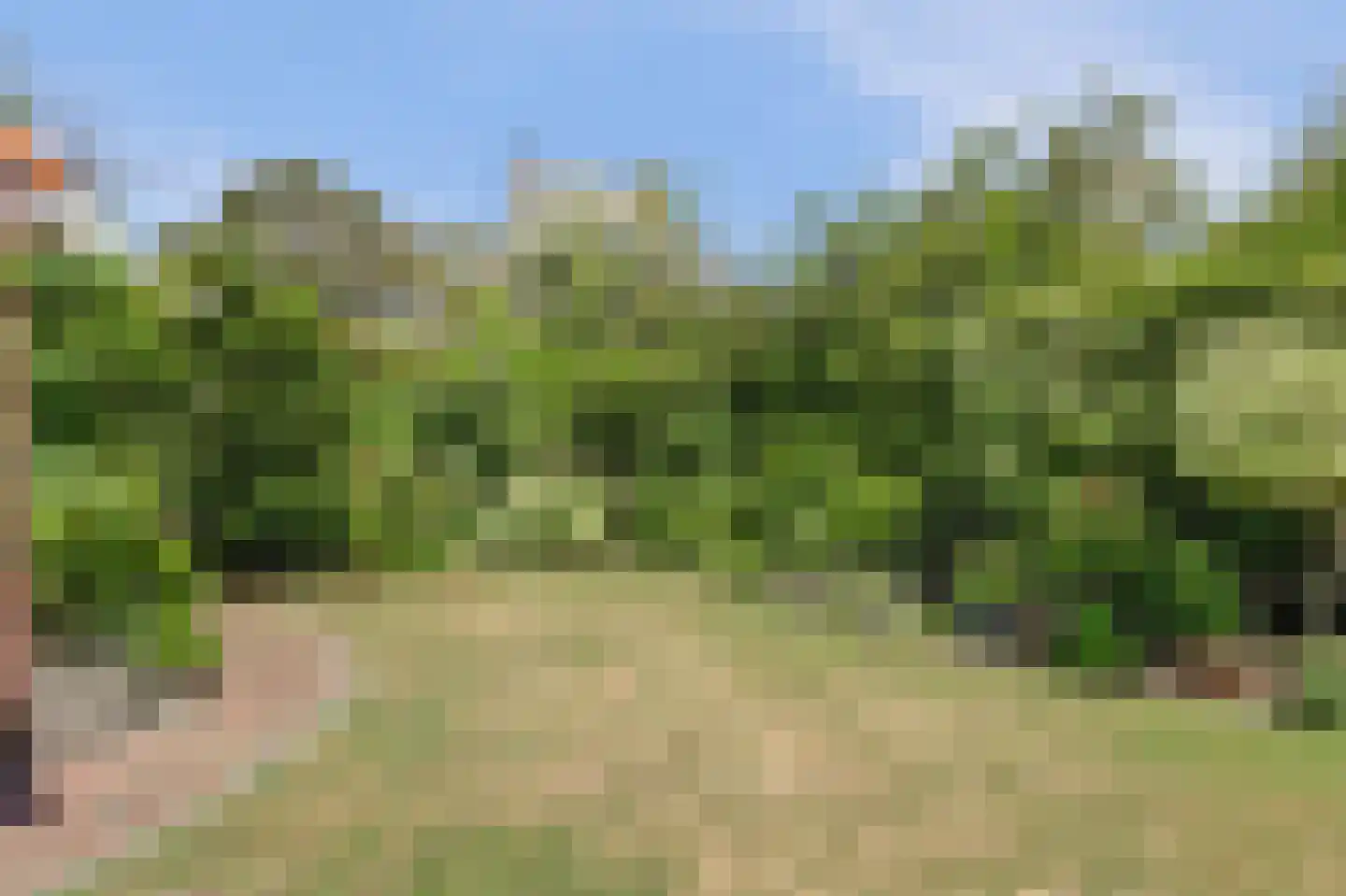 Westfriesedijk 27 Warmenhuizen thumbnail 50