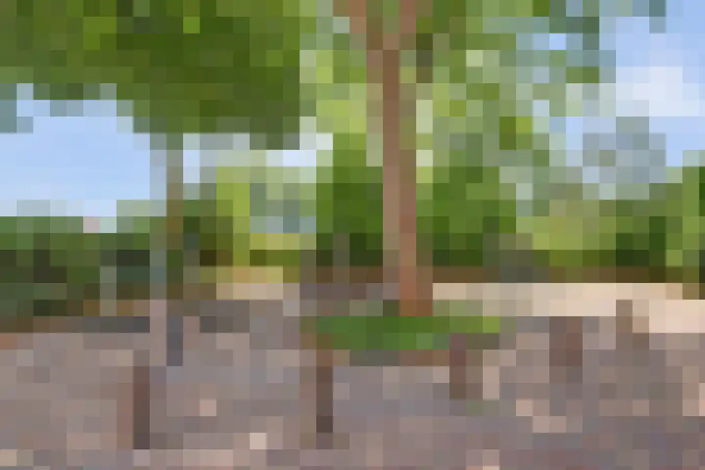 Westfriesedijk 27 Warmenhuizen thumbnail 54