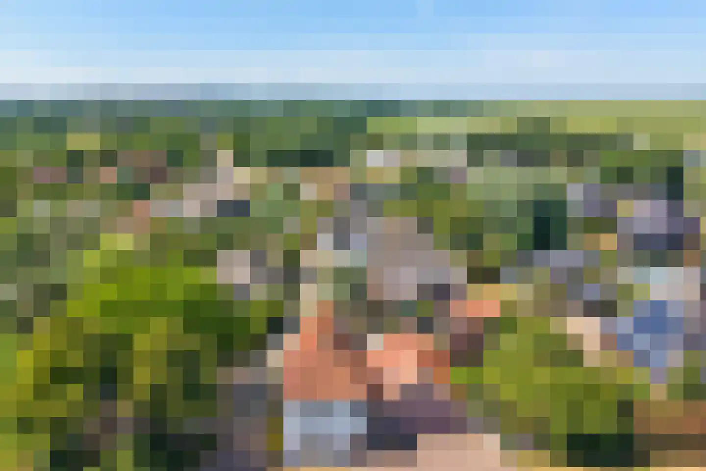 Westfriesedijk 27 Warmenhuizen thumbnail 57
