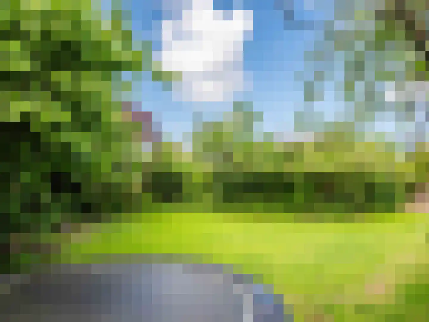 Westfriesedijk 29 Warmenhuizen thumbnail 11
