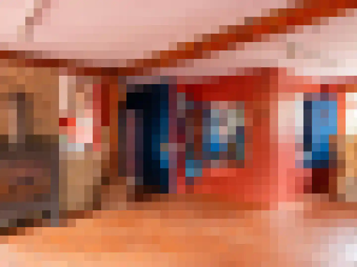 Westfriesedijk 29 Warmenhuizen thumbnail 19