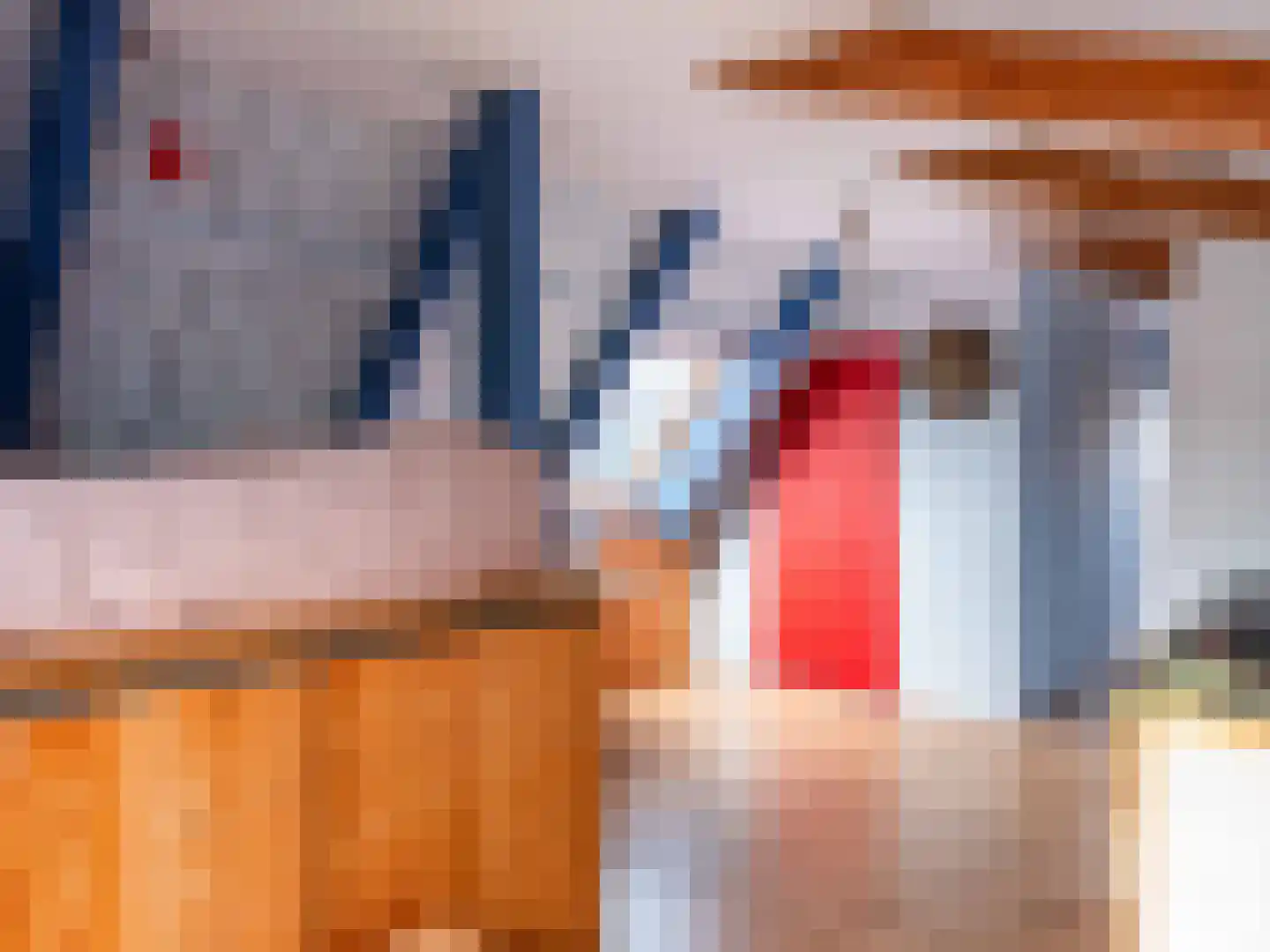 Westfriesedijk 29 Warmenhuizen thumbnail 33