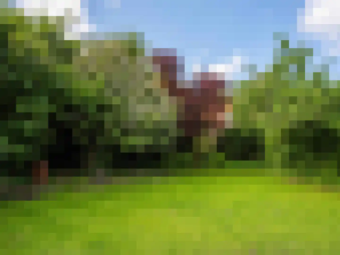 Westfriesedijk 29 Warmenhuizen thumbnail 4