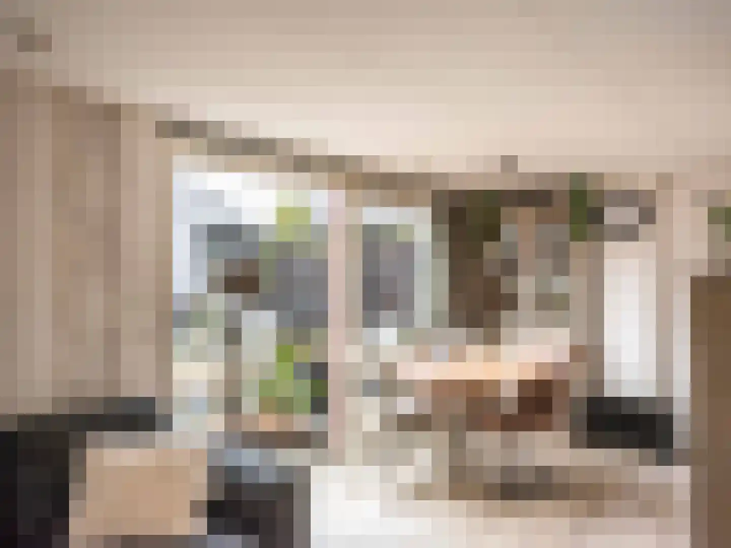 Westfriesedijk 29 Warmenhuizen thumbnail 47