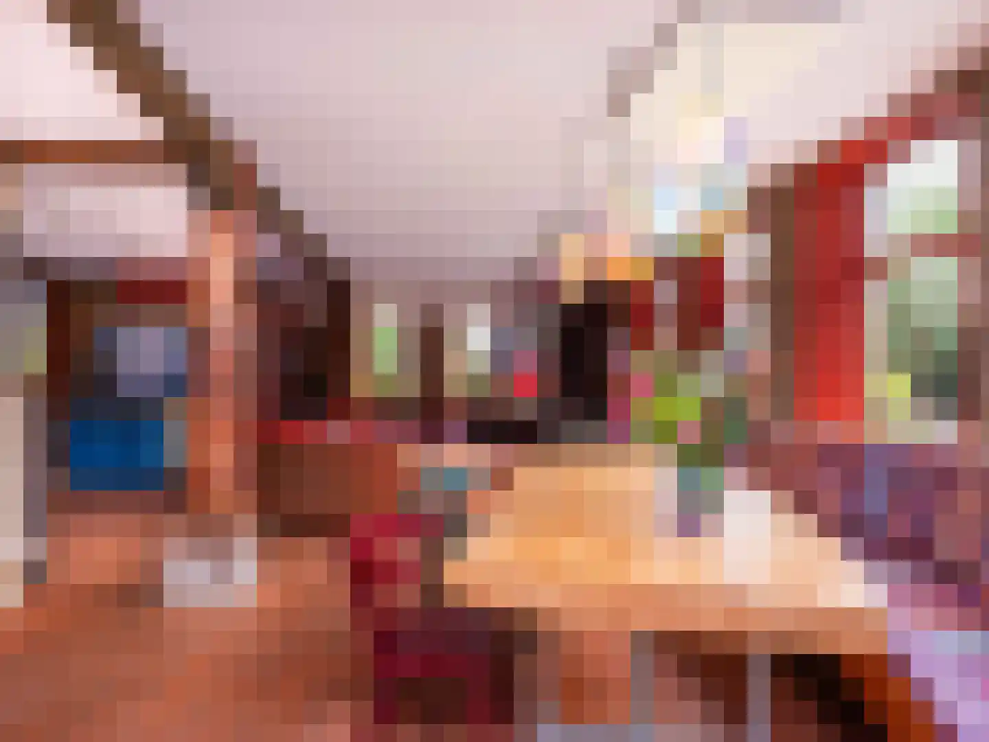 Westfriesedijk 29 Warmenhuizen thumbnail 5