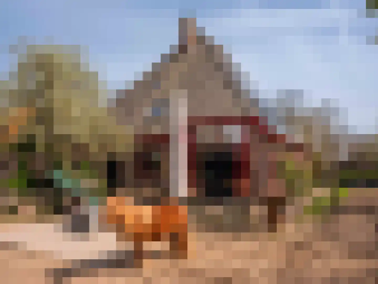 Westfriesedijk 29 Warmenhuizen thumbnail 62