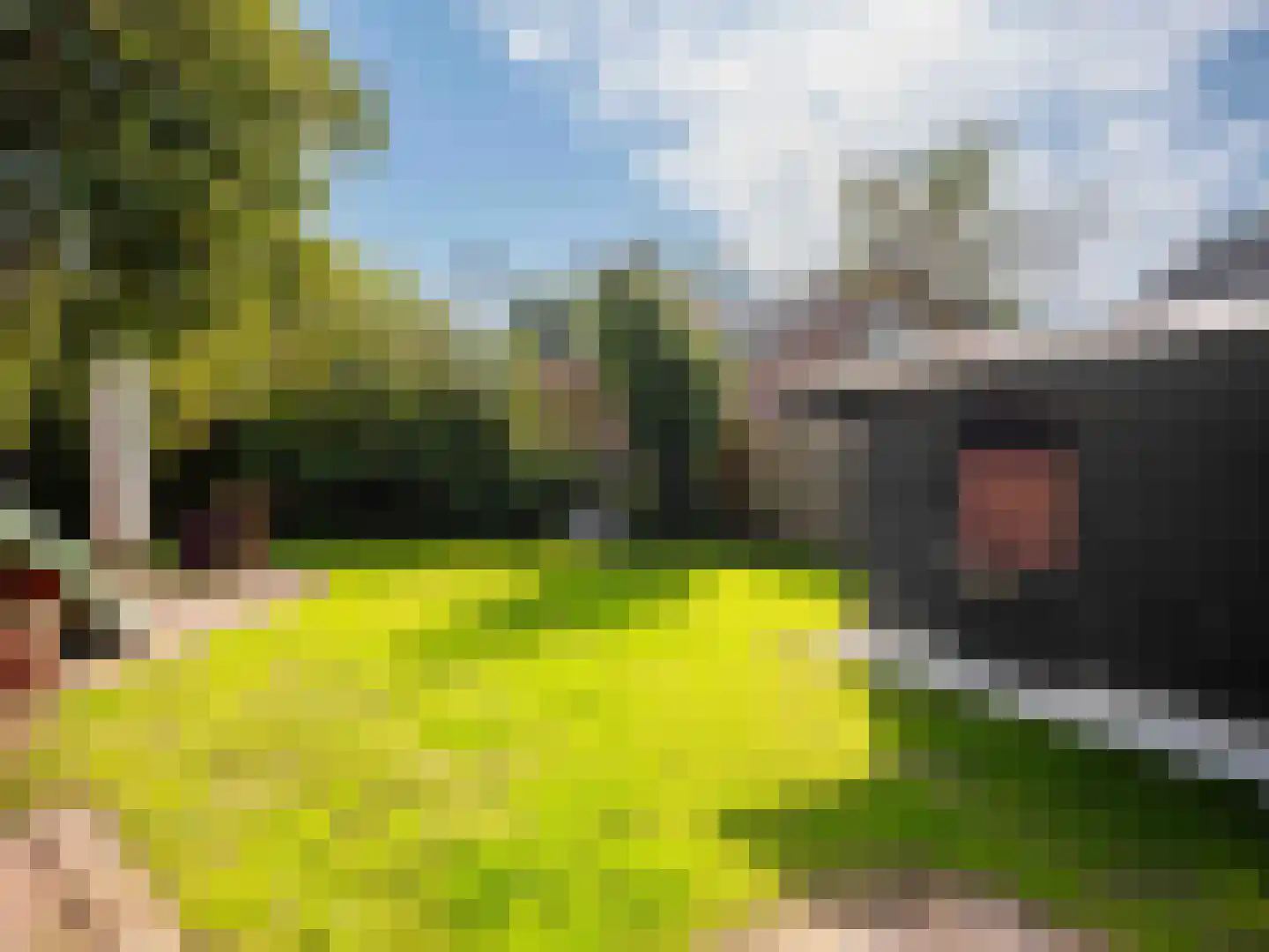 Westfriesedijk 29 Warmenhuizen thumbnail 64