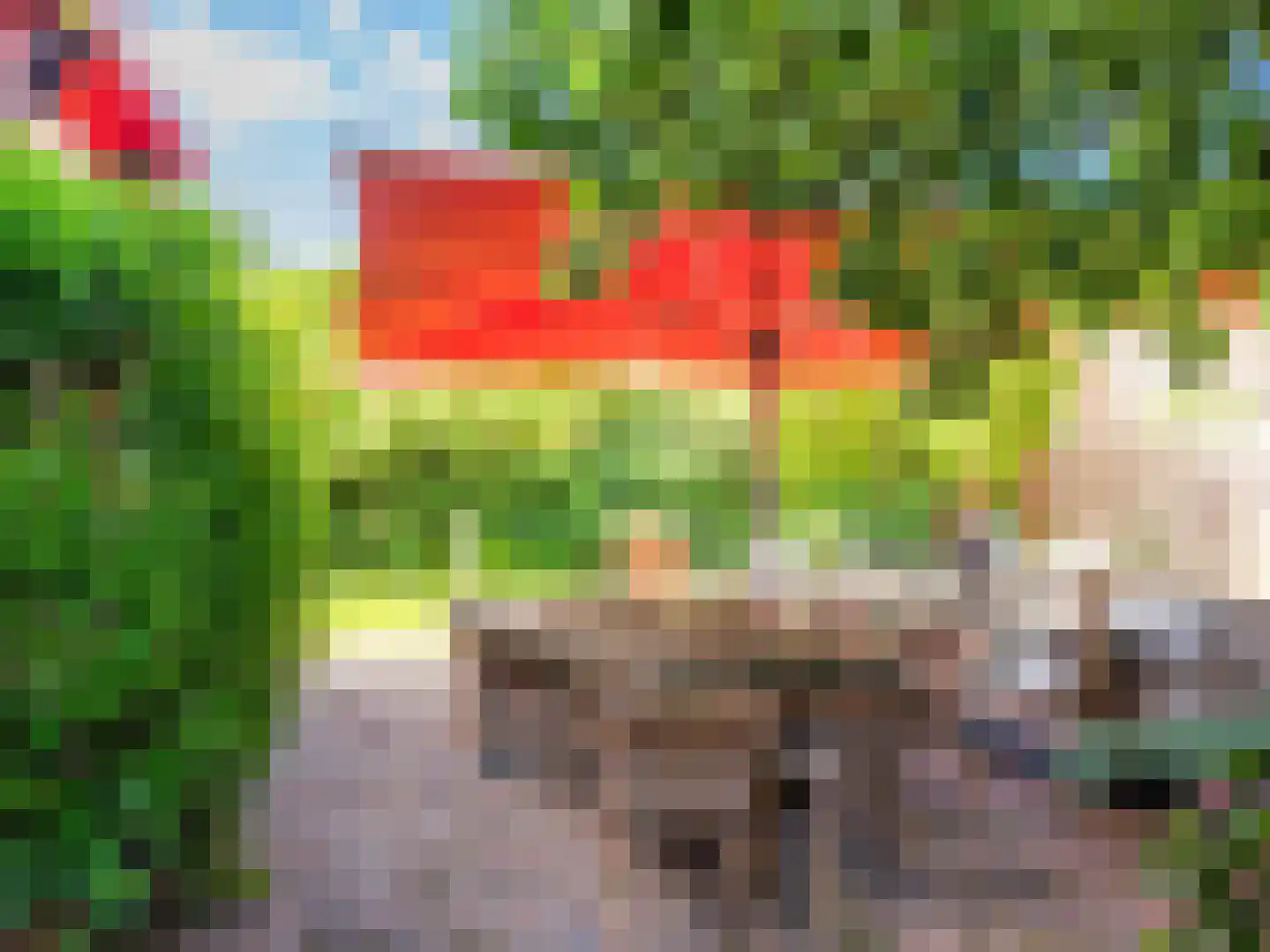 Westfriesedijk 29 Warmenhuizen thumbnail 68