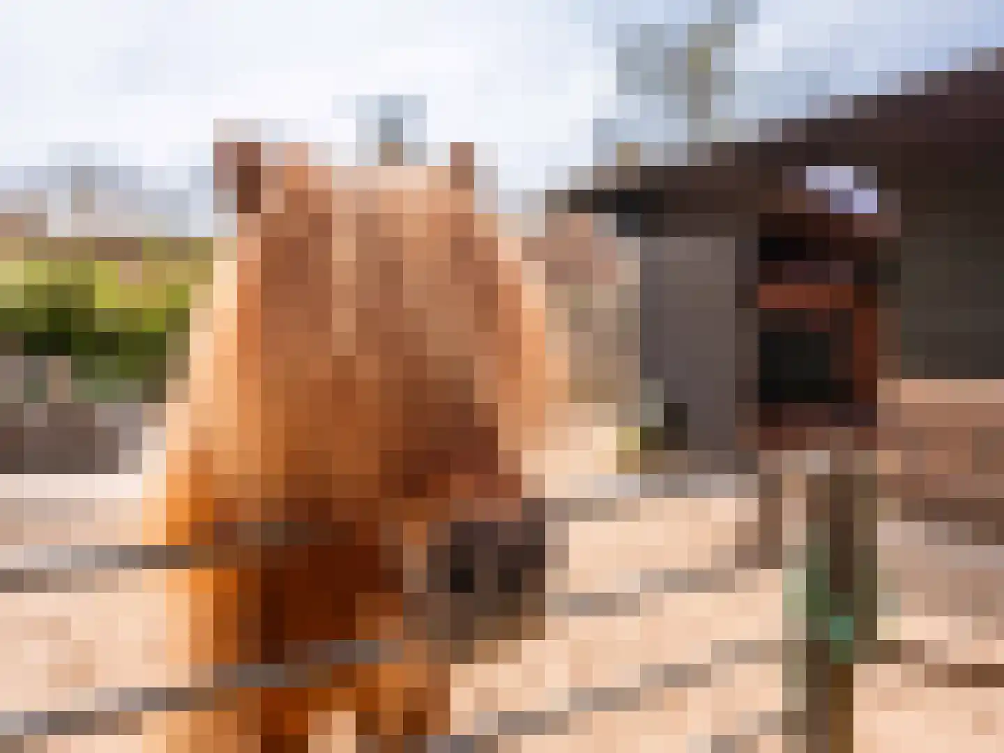 Westfriesedijk 29 Warmenhuizen thumbnail 68