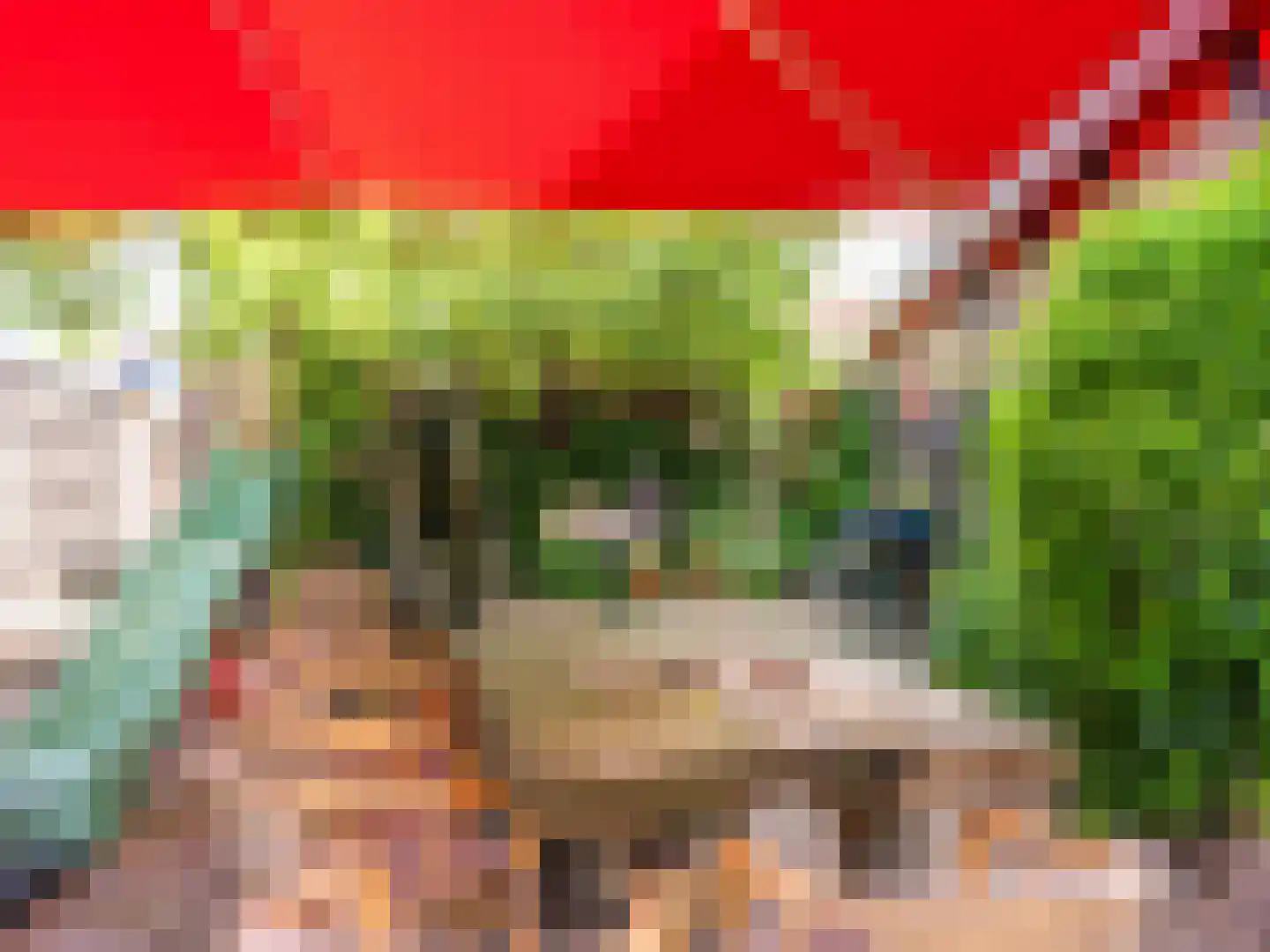 Westfriesedijk 29 Warmenhuizen thumbnail 69