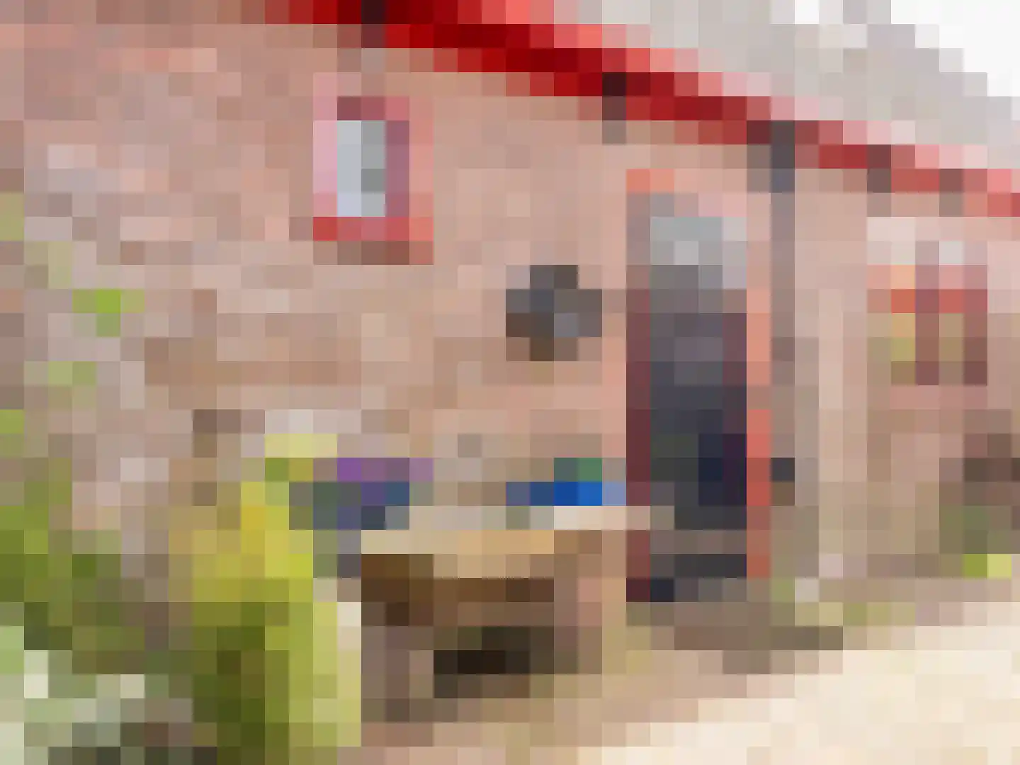 Westfriesedijk 29 Warmenhuizen thumbnail 72