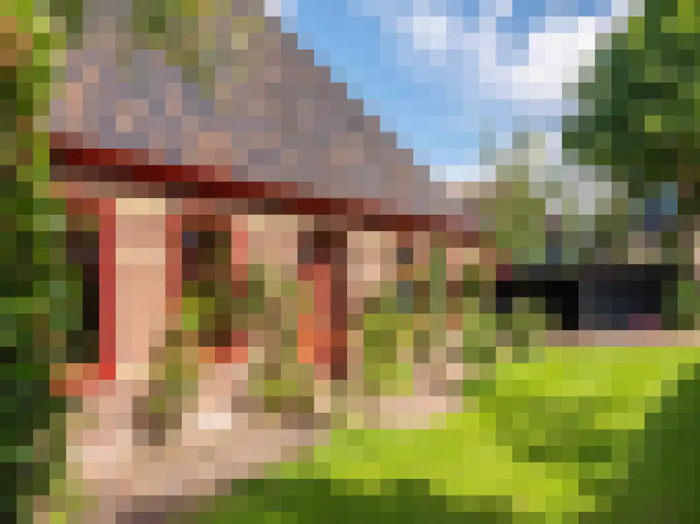 Westfriesedijk 29 Warmenhuizen thumbnail 73