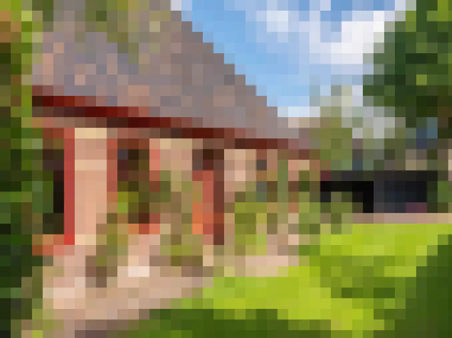 Westfriesedijk 29 Warmenhuizen thumbnail 80