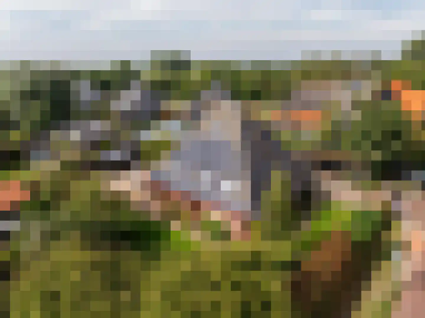 Westfriesedijk 29 Warmenhuizen thumbnail 86