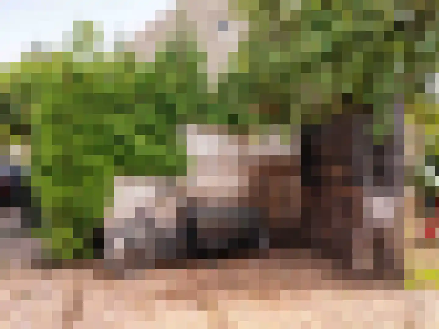 Westfriesedijk 29 Warmenhuizen thumbnail 90