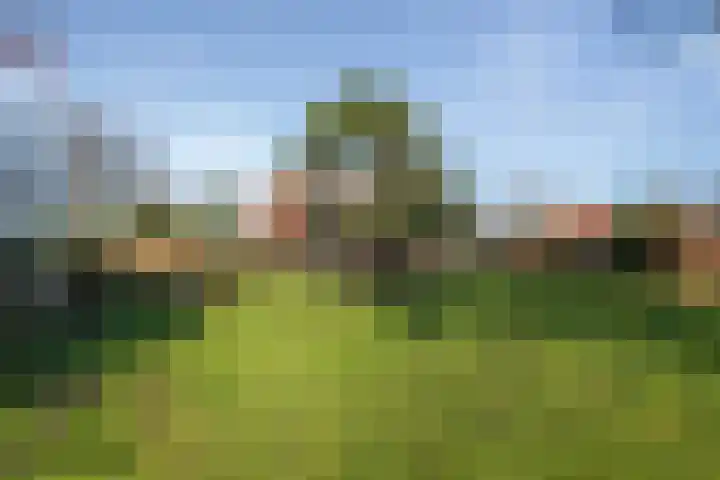 Westfriesedijk 30 Kolhorn thumbnail 34