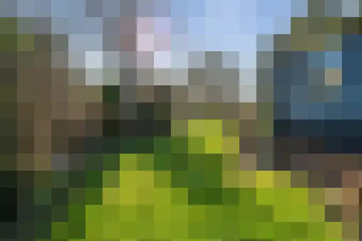 Westfriesedijk 30 Kolhorn thumbnail 38