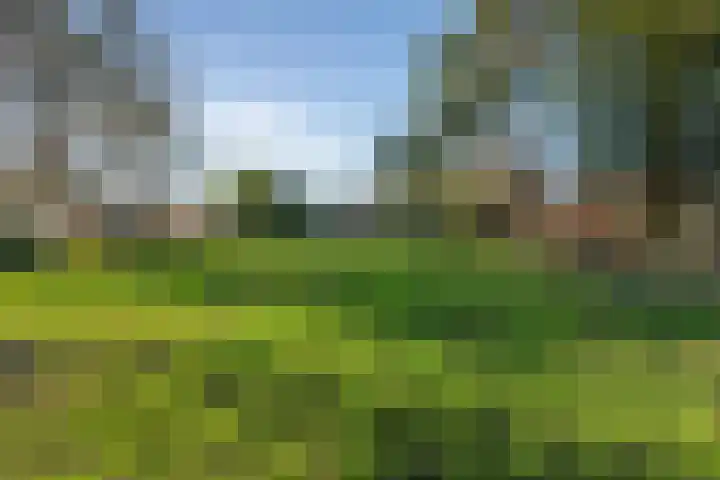 Westfriesedijk 30 Kolhorn thumbnail 39