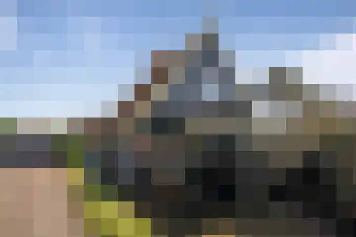 Westfriesedijk 30 Kolhorn thumbnail 4