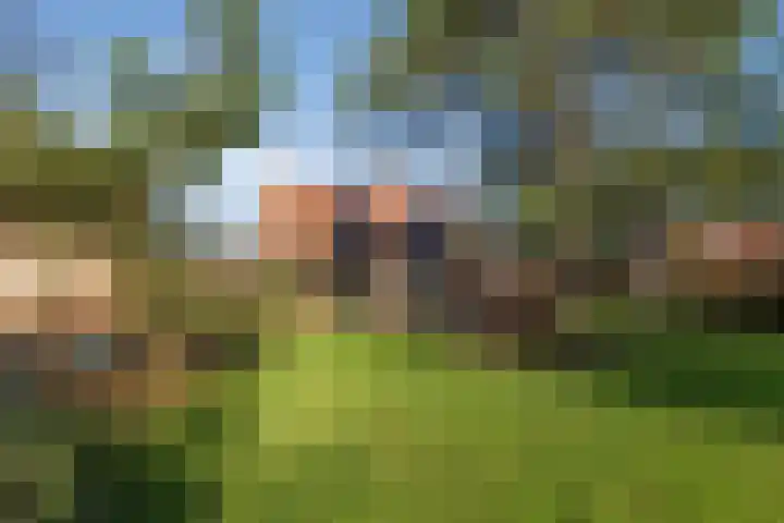Westfriesedijk 30 Kolhorn thumbnail 5
