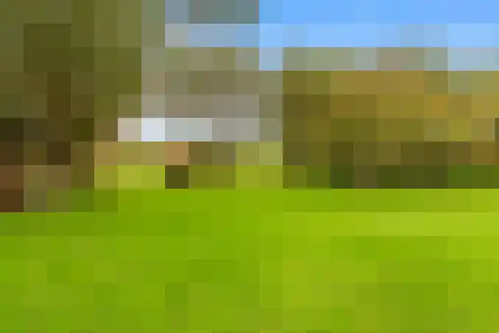 Westfriesedijk 44 Winkel thumbnail 43
