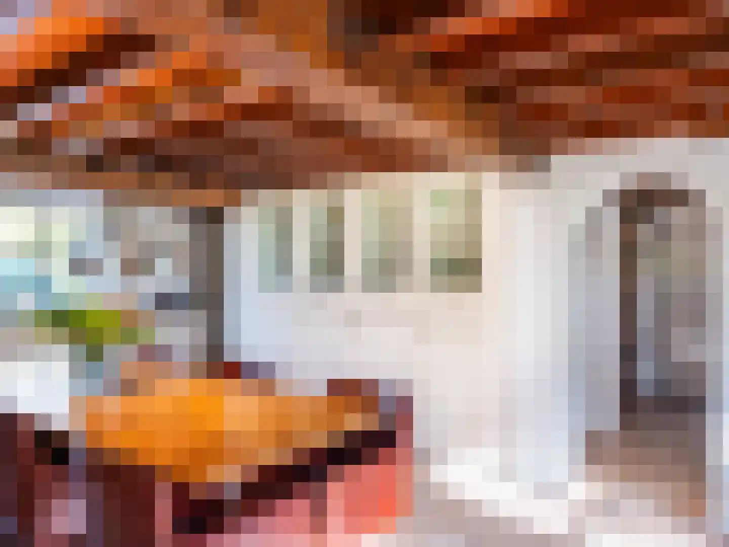 Westfriesedijk 57 Warmenhuizen thumbnail 12