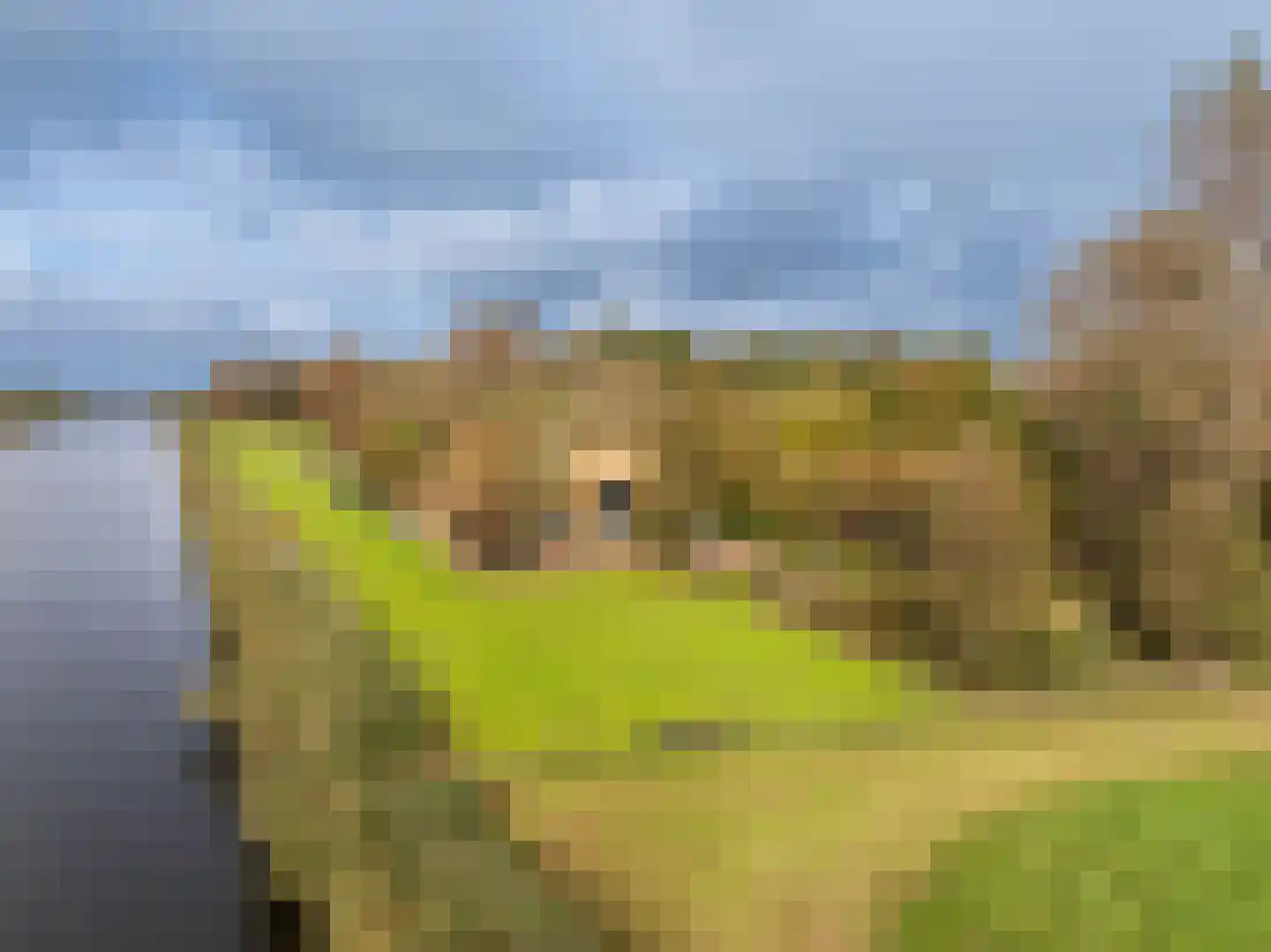 Westfriesedijk 57 Warmenhuizen thumbnail 28