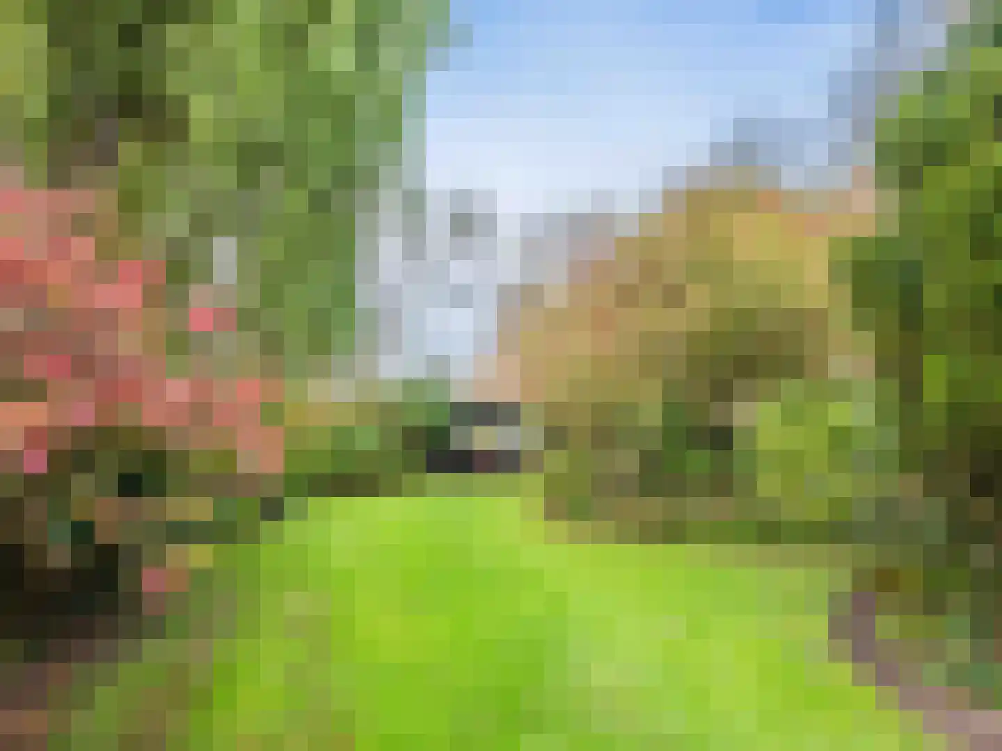 Westfriesedijk 57 Warmenhuizen thumbnail 29