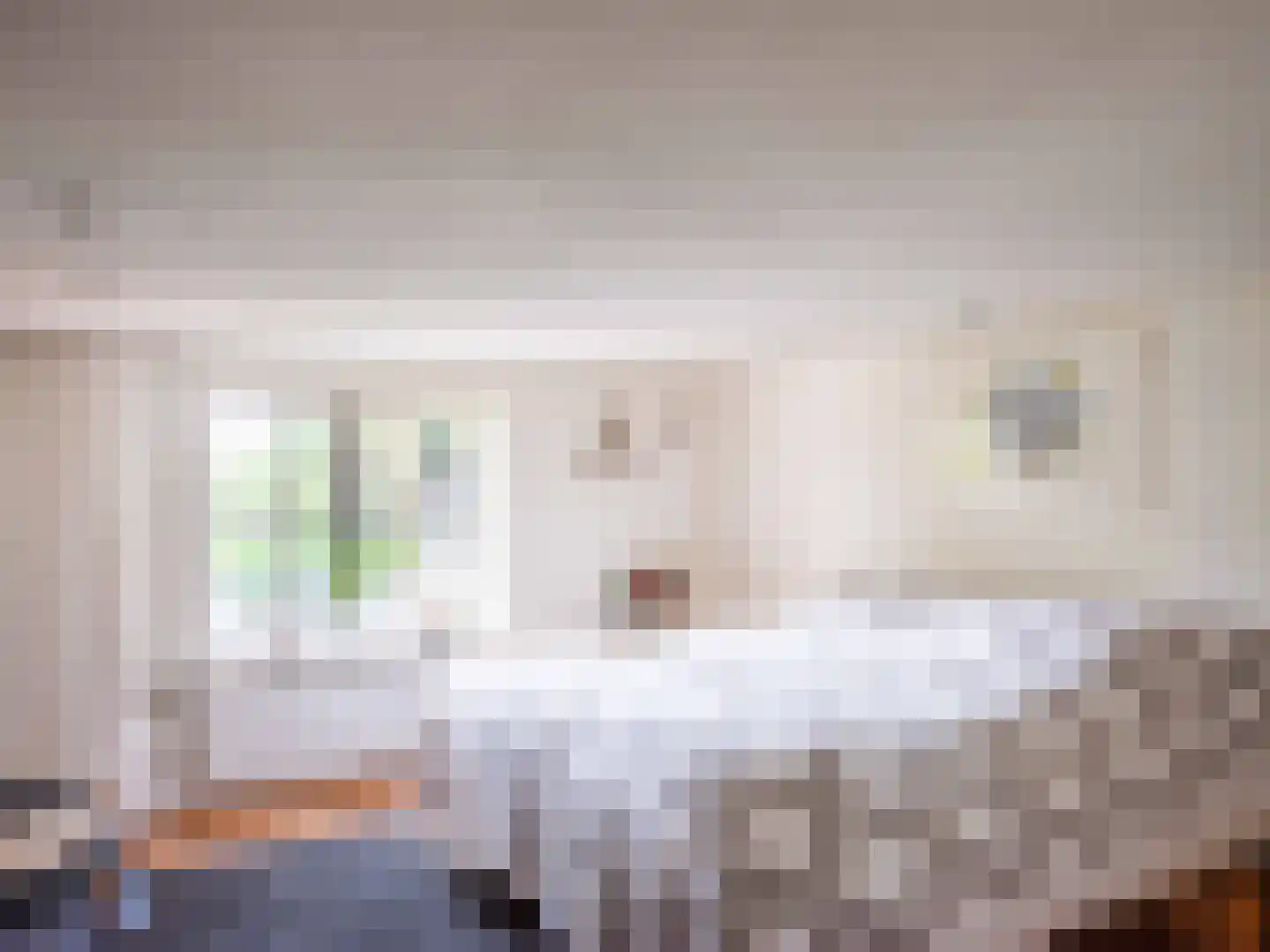 Westfriesedijk 57 Warmenhuizen thumbnail 34