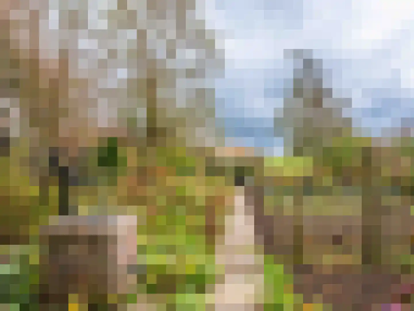Westfriesedijk 57 Warmenhuizen thumbnail 38
