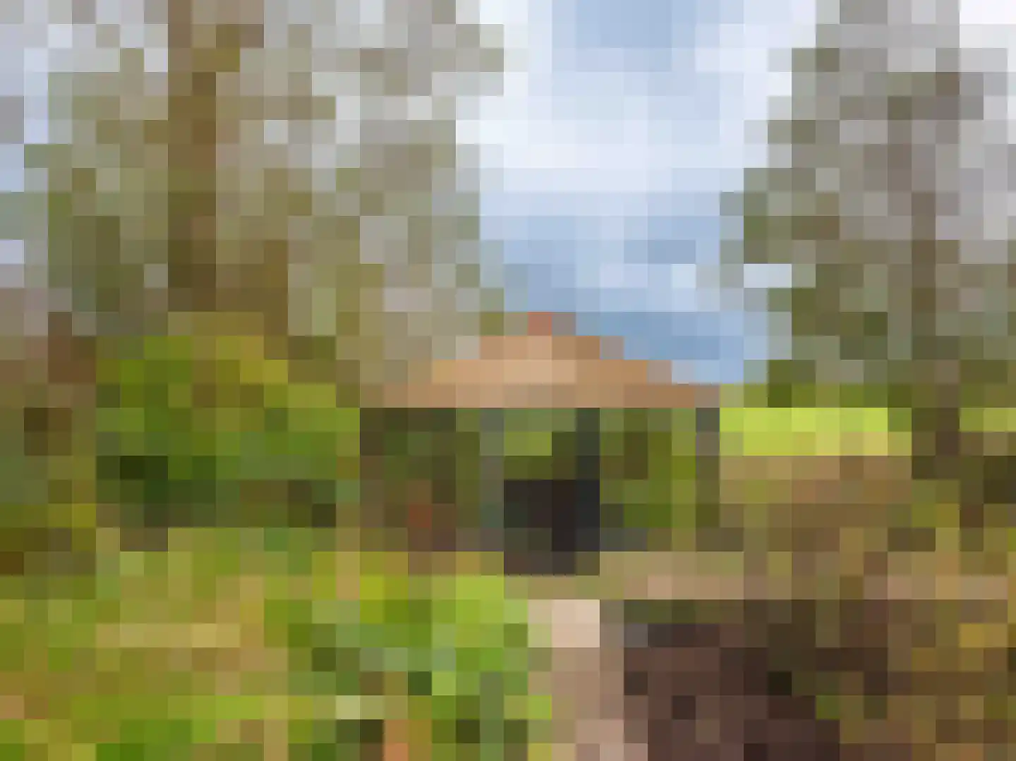 Westfriesedijk 57 Warmenhuizen thumbnail 39