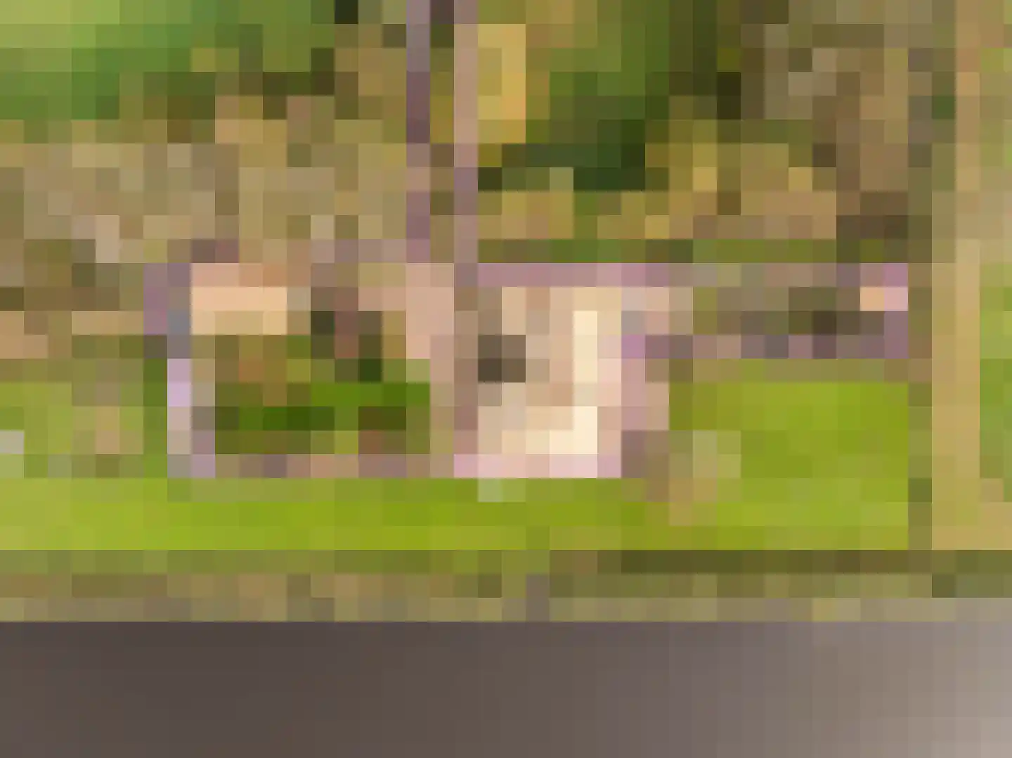 Westfriesedijk 57 Warmenhuizen thumbnail 4