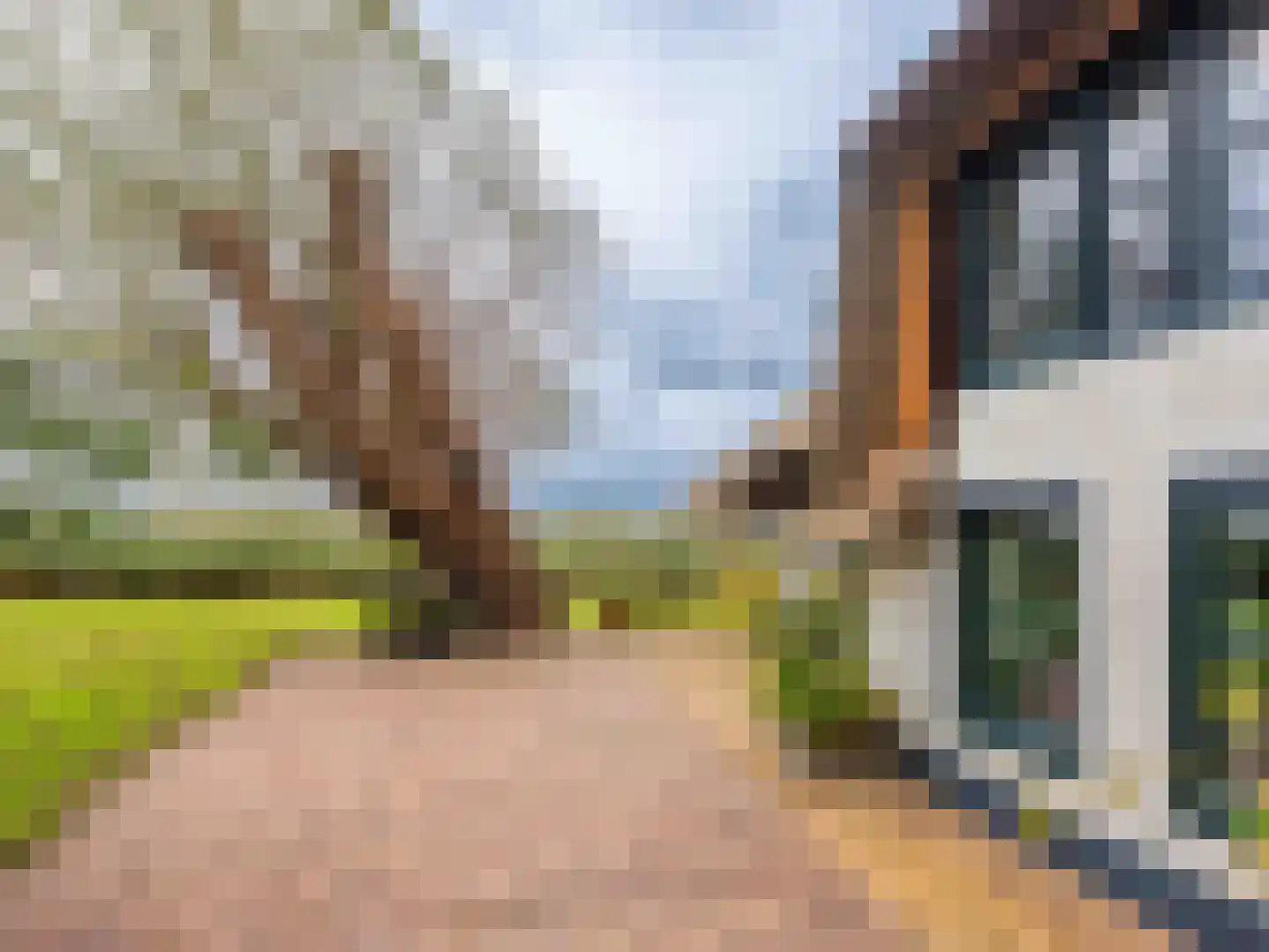 Westfriesedijk 57 Warmenhuizen thumbnail 41