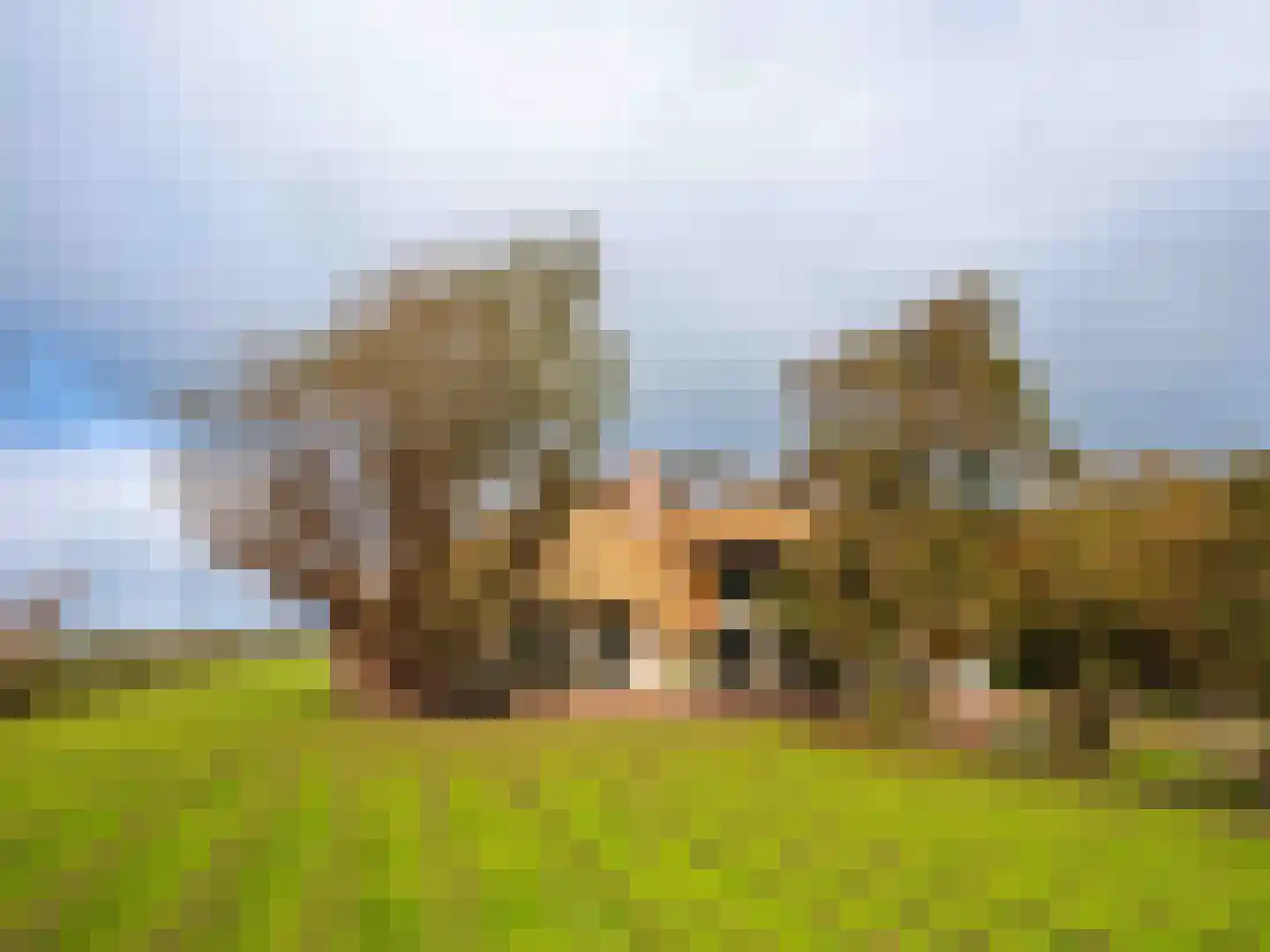 Westfriesedijk 57 Warmenhuizen thumbnail 42