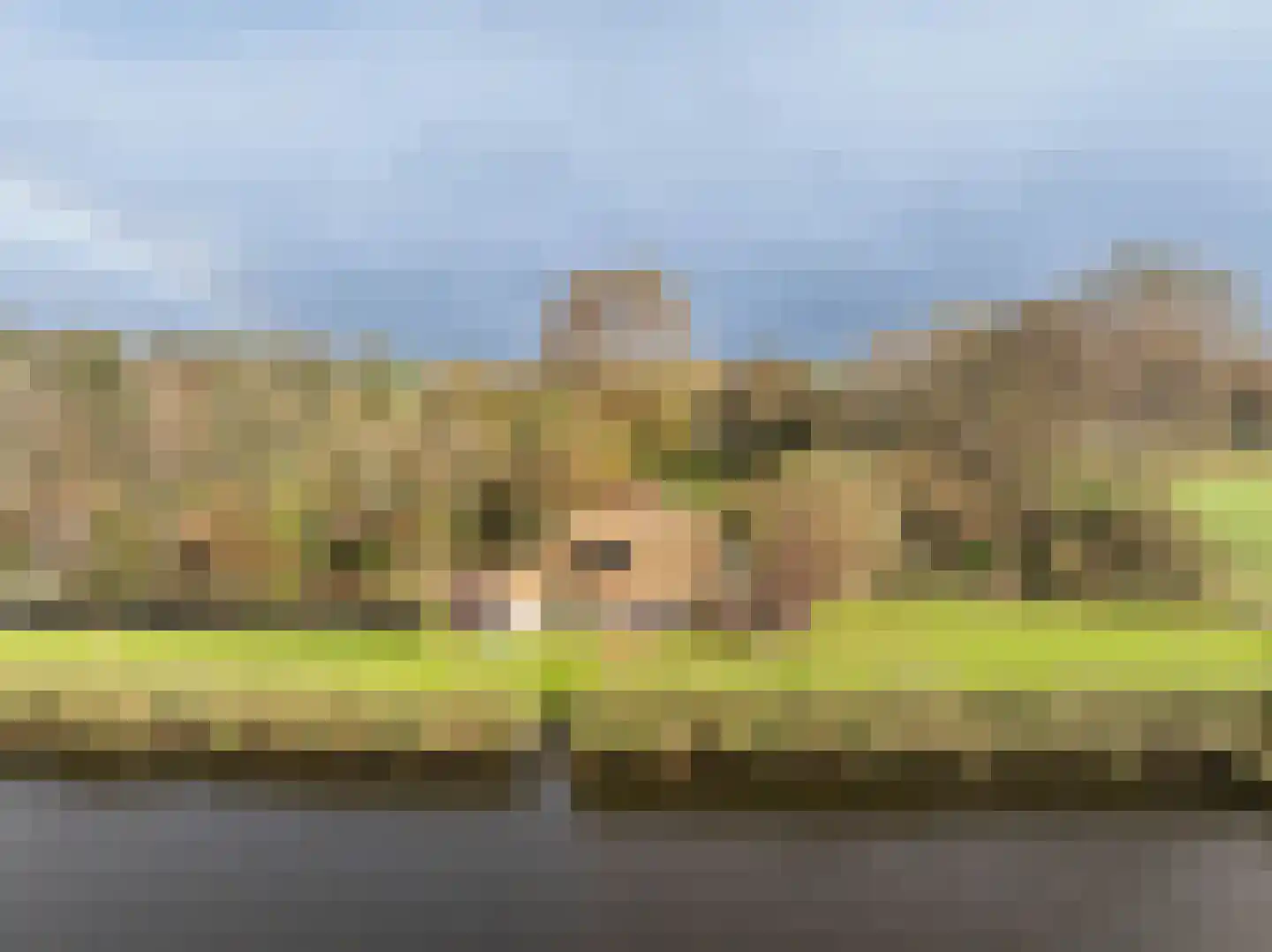 Westfriesedijk 57 Warmenhuizen thumbnail 44