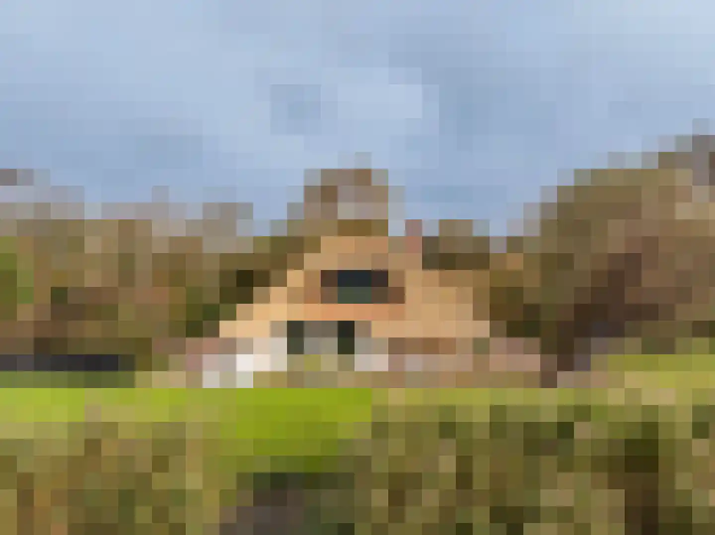 Westfriesedijk 57 Warmenhuizen thumbnail 45