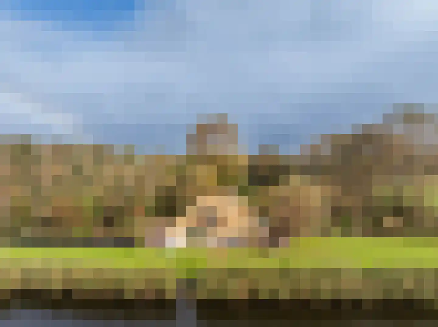 Westfriesedijk 57 Warmenhuizen thumbnail 47