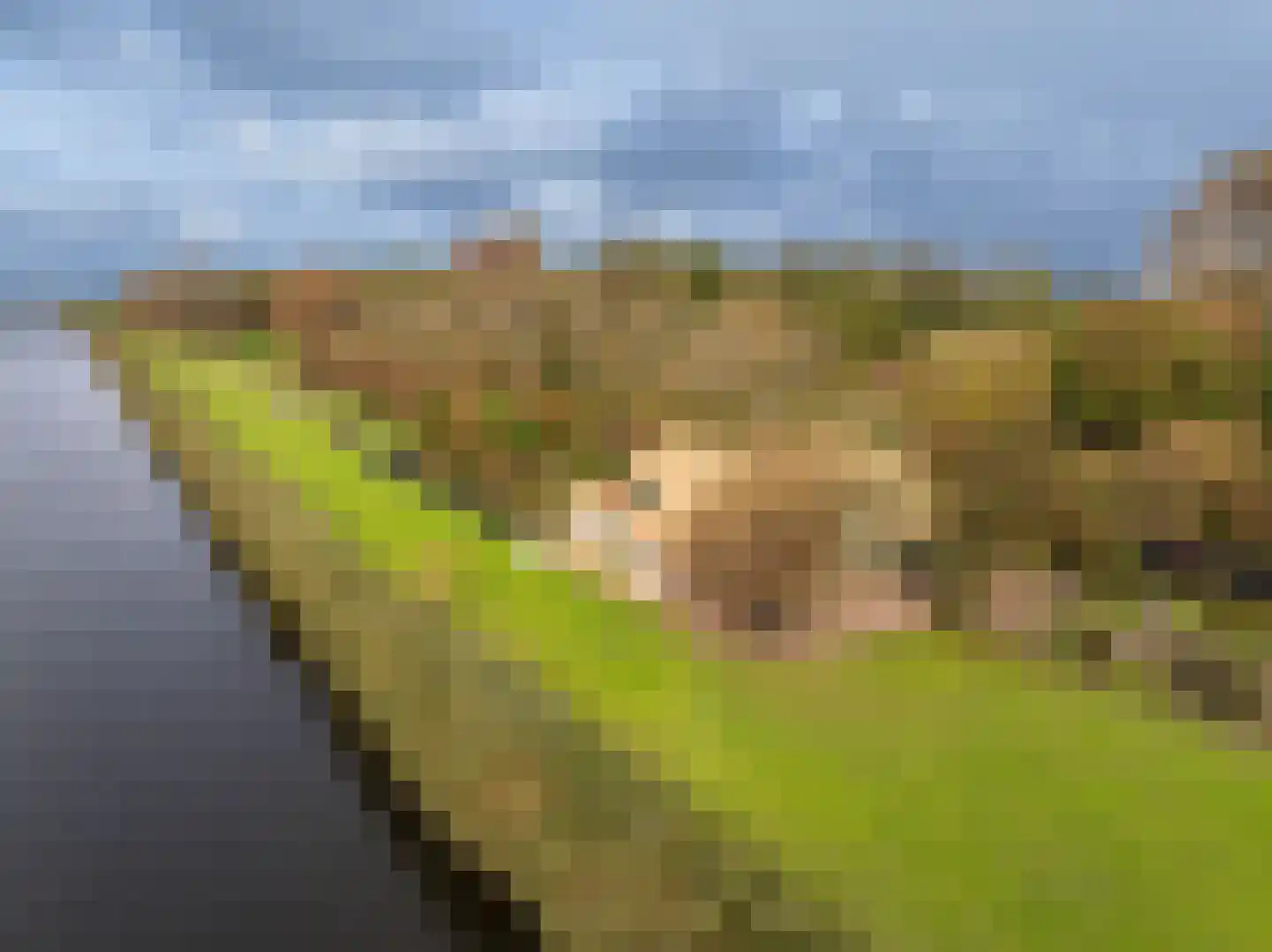 Westfriesedijk 57 Warmenhuizen thumbnail 48
