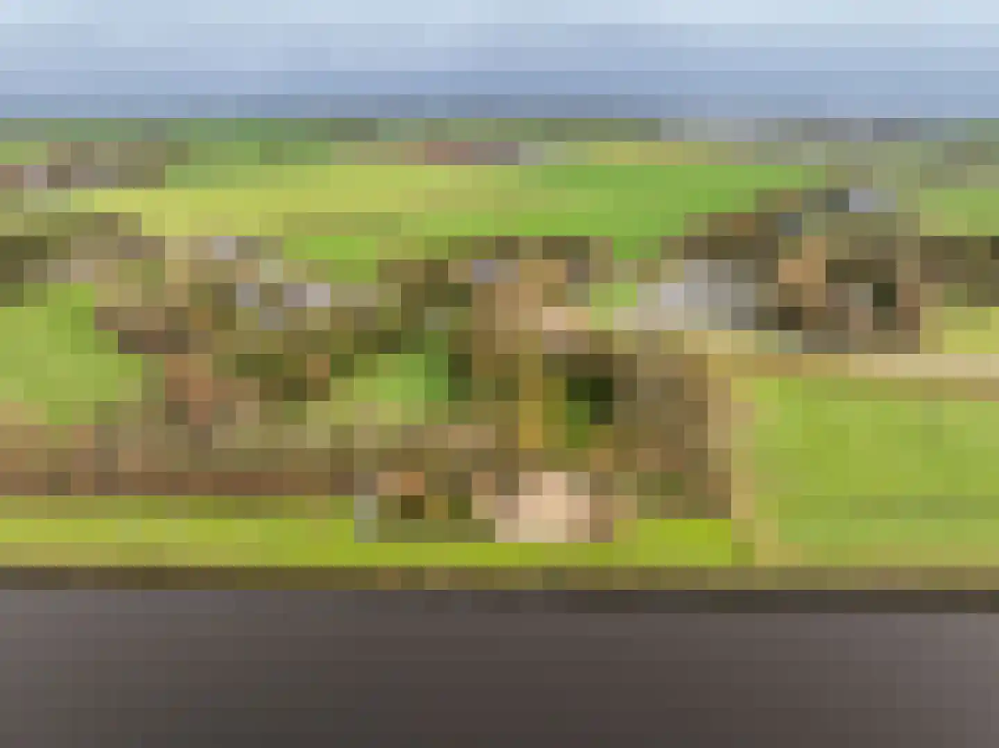 Westfriesedijk 57 Warmenhuizen thumbnail 49