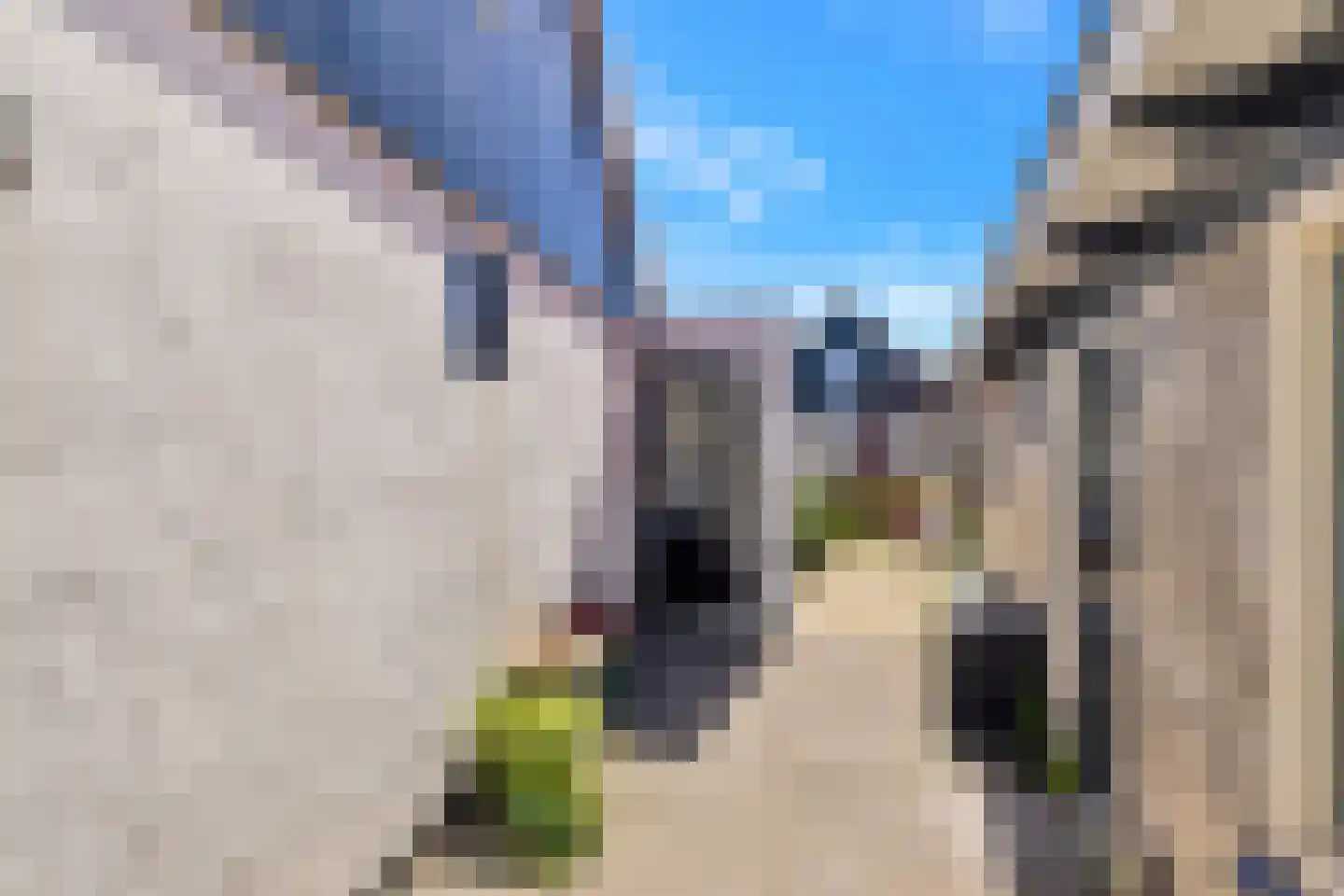 Westfriesedijk 64 Kolhorn thumbnail 7