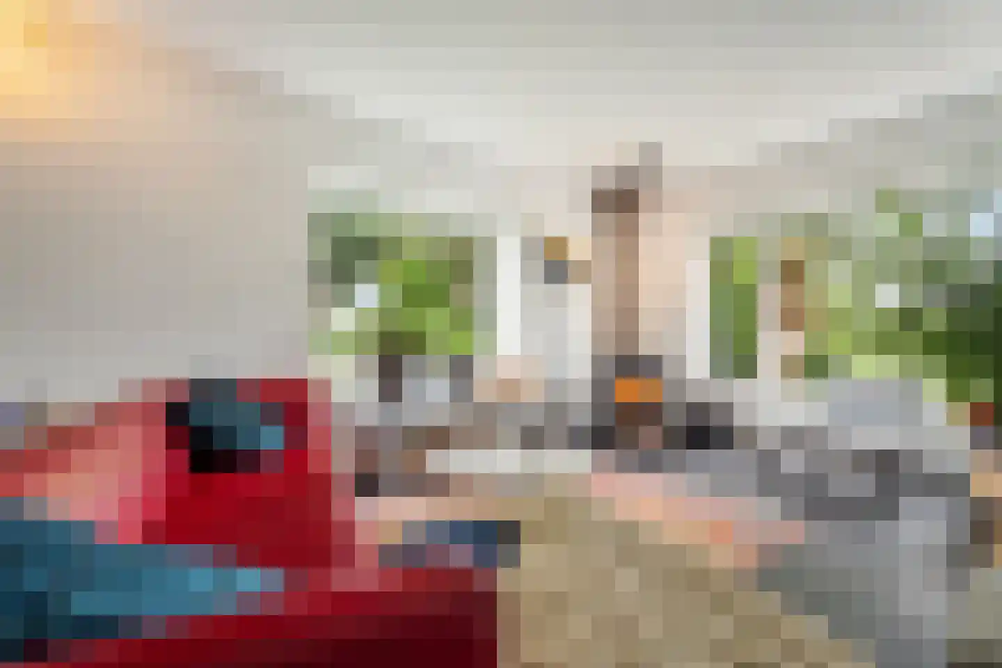 Westfriesedijk 7 Aartswoud thumbnail 10
