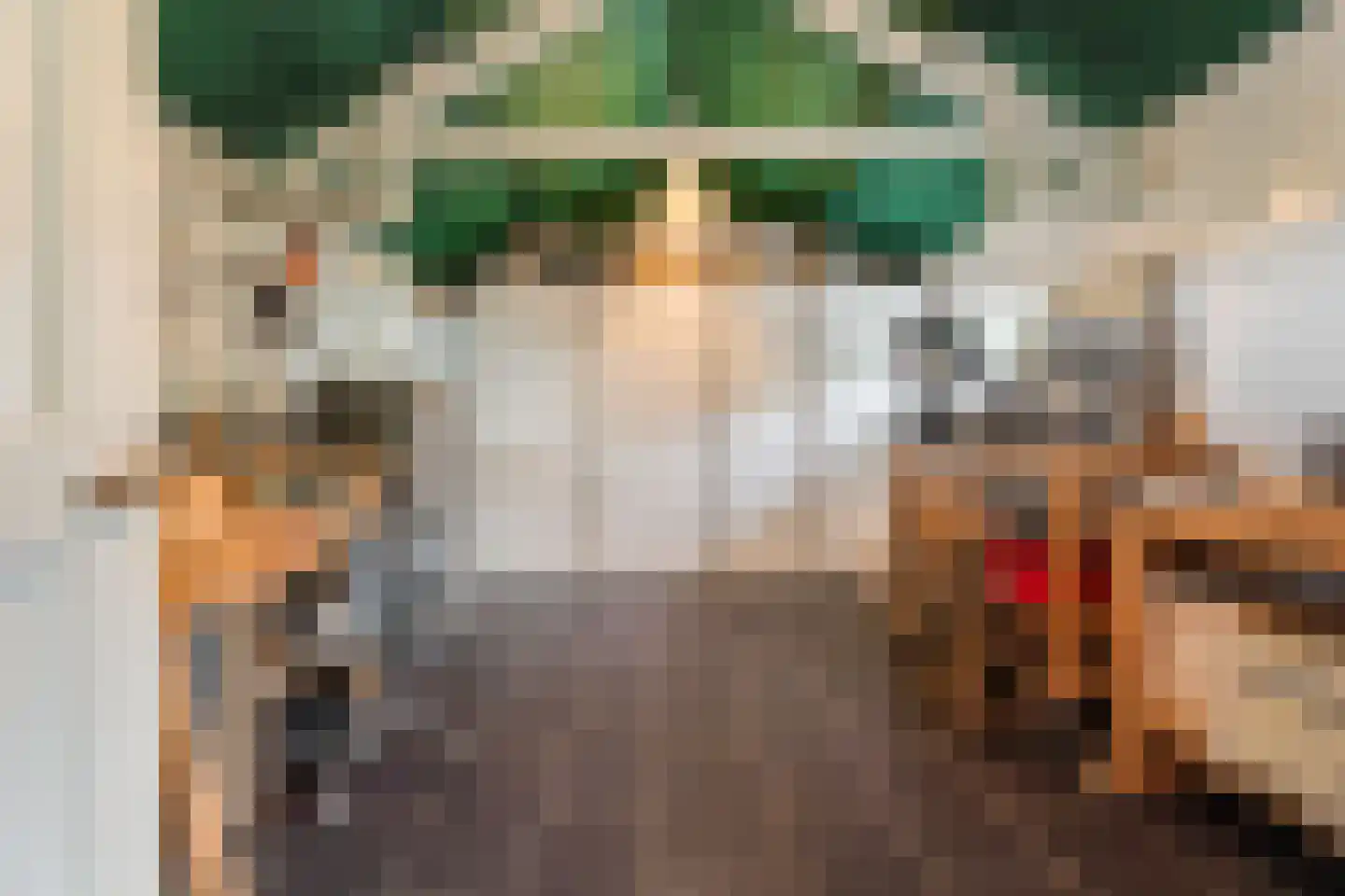 Westfriesedijk 7 Aartswoud thumbnail 17