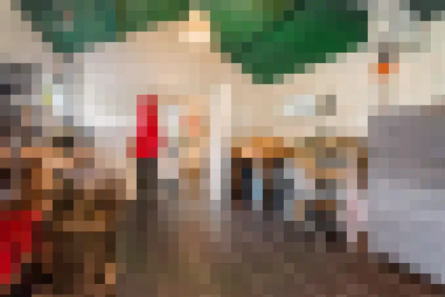 Westfriesedijk 7 Aartswoud thumbnail 18