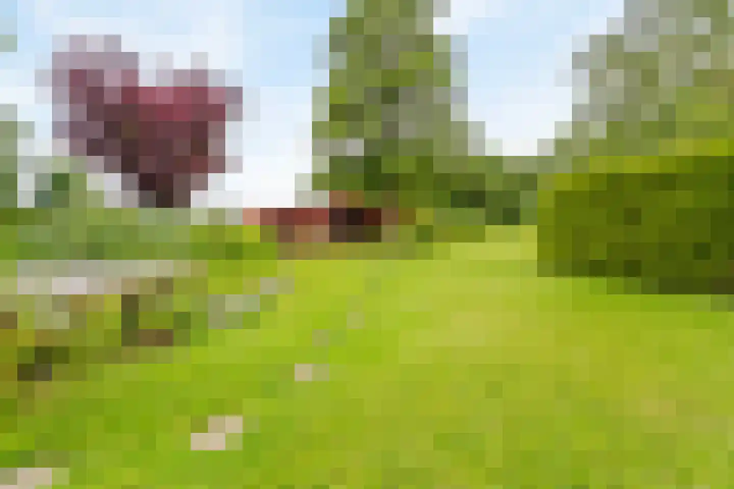Westfriesedijk 7 Aartswoud thumbnail 33