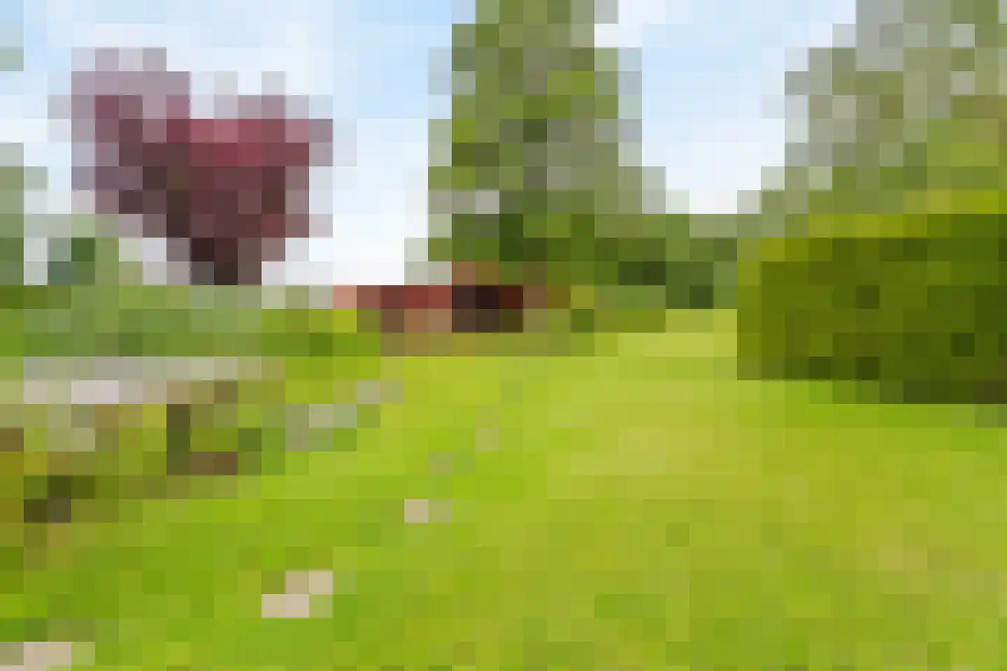 Westfriesedijk 7 Aartswoud thumbnail 34